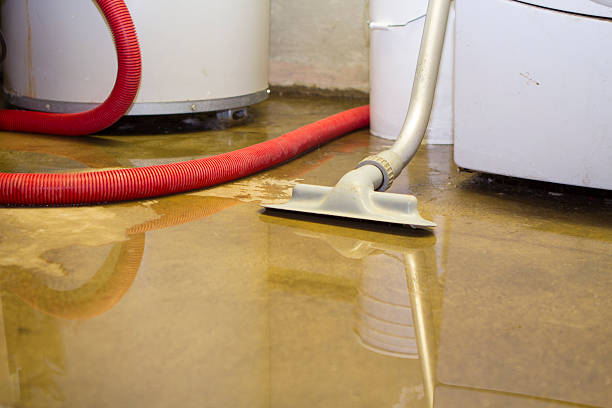 Best Storm and Flood Water Damage Restoration in West Covina, CA